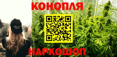 трава Будённовск